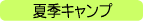 wEwΏۃLvEċxݎqǂT}[LvE~xݎqǂXL[cA[EtxݎqǂXvOLv
