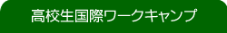 Zۃ[NLv