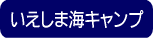 小学生・中学生対象夏休み子供サマーキャンプ2008