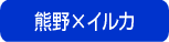 小学生・中学生対象夏休み子供サマーキャンプ2008