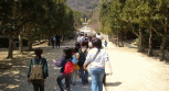 子供スキーキャンプ2012・小学生冬休みスキーツアー2012・中学生冬休みスキーツアー2012