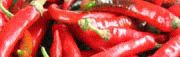 �u���w���}���[�V�A�z�[���X�e�C�̌�2009�v