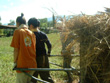 : Z:\BrainHumanity\eƕ\homepage\BrainHumanity-HomePage\yotei\malaysia12summer\404.jpg