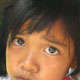 : Z:\BrainHumanity\eƕ\homepage\BrainHumanity-HomePage\yotei\malaysia12summer\602.jpg